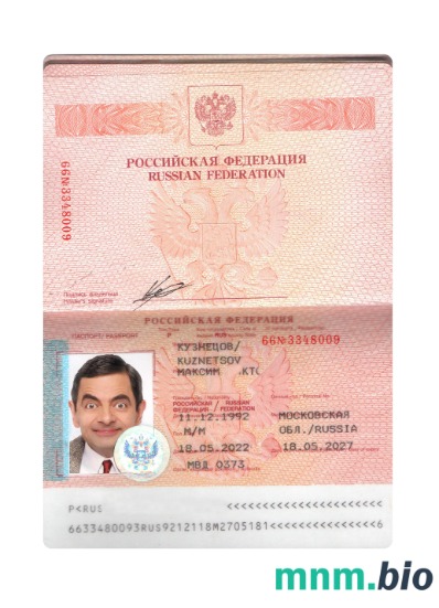 Paszport Rosji 2022 - szablon presnet w formacie PSD